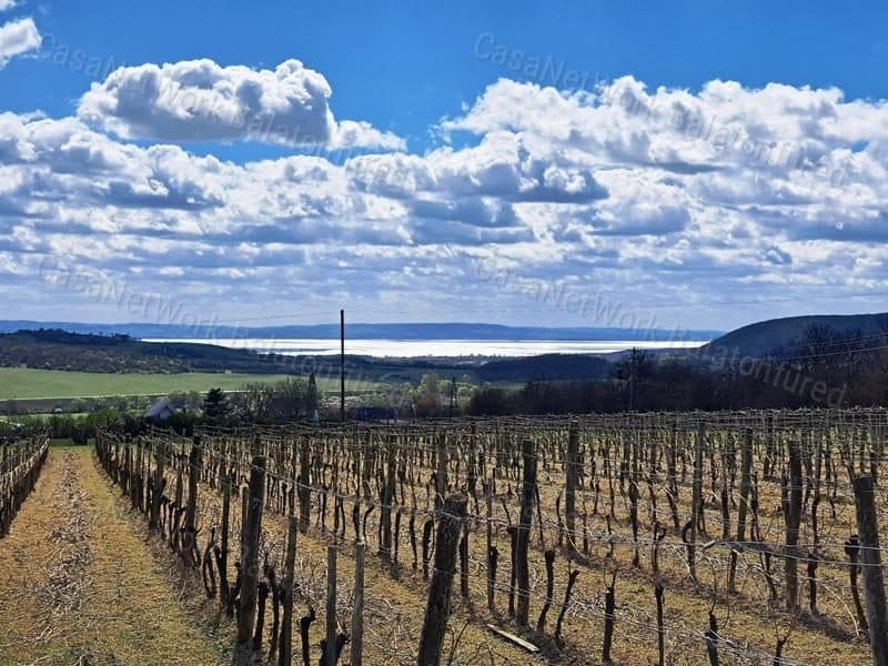 Weinberg mit Panoramablick, bebaubar – Szentjakabfa